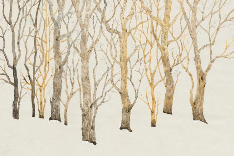 Bare Trees I