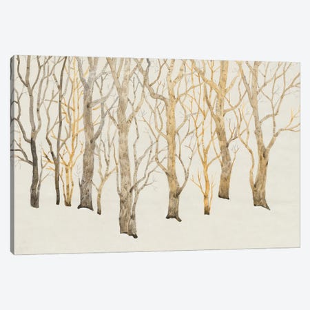 Bare Trees I Canvas Print #TOT837} by Tim OToole Canvas Print