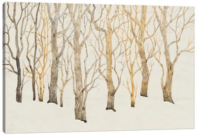 Bare Trees I Canvas Art Print - Tim O'Toole