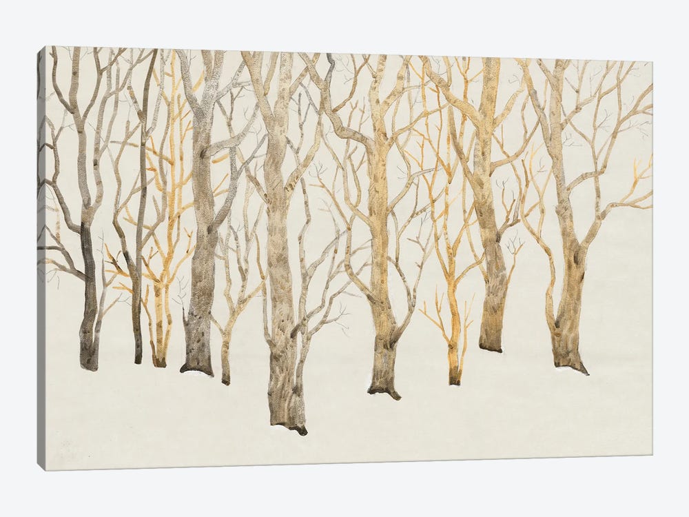 Bare Trees I by Tim OToole 1-piece Canvas Artwork
