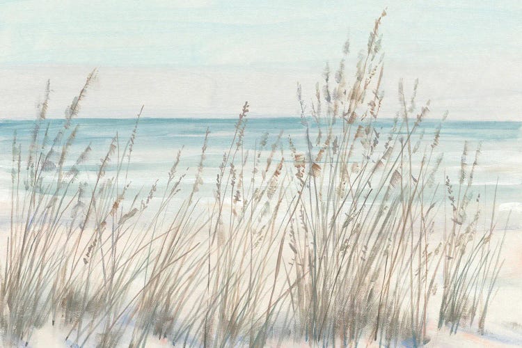 Beach Grass II by Tim OToole canvas print