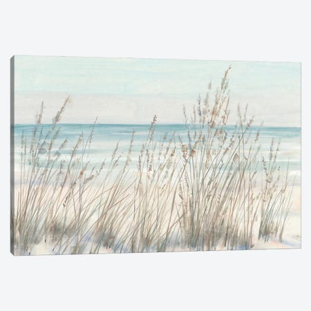 Beach Grass II Canvas Print #TOT838} by Tim OToole Canvas Artwork