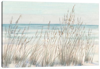 Beach Grass II Canvas Art Print - Coastal & Ocean Abstract Art