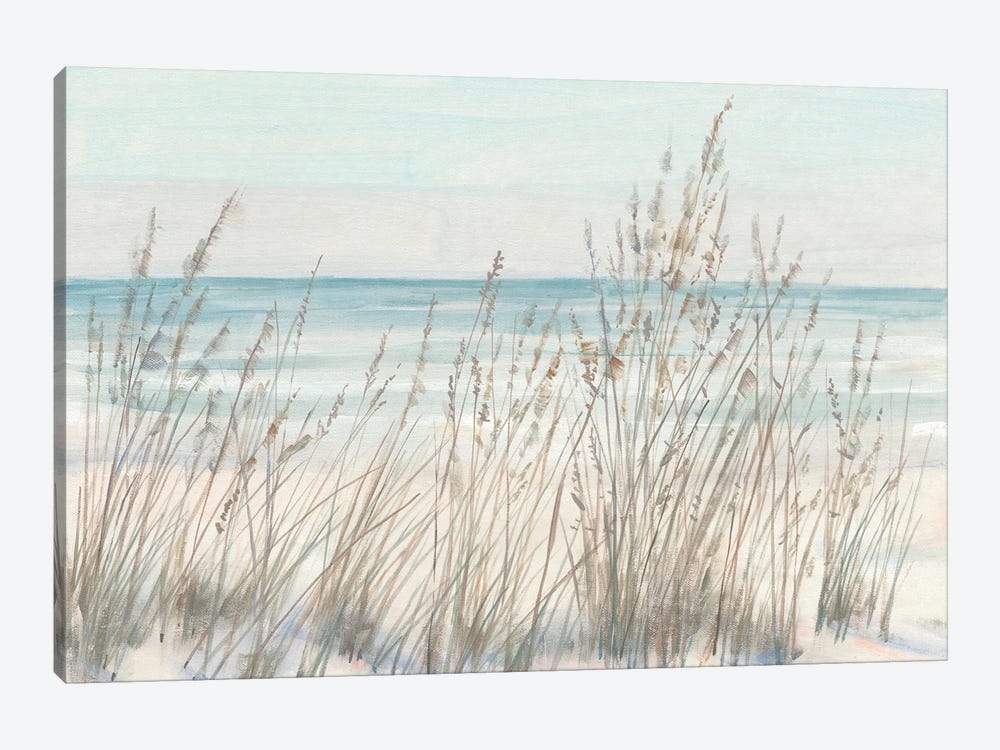 Beach Grass II by Tim OToole 1-piece Canvas Print