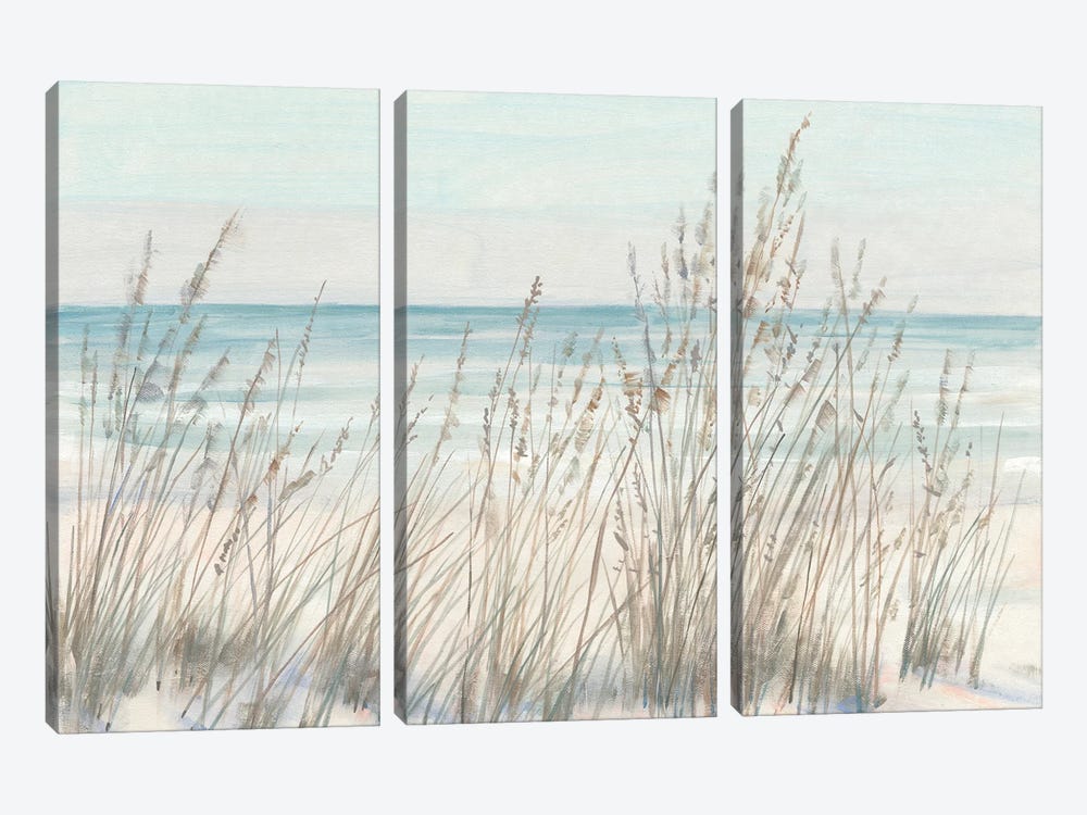 Beach Grass II by Tim OToole 3-piece Canvas Print
