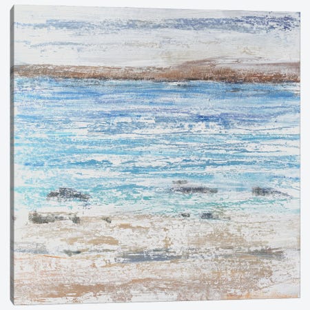 Coastal Seascape I Canvas Print #TOT840} by Tim OToole Canvas Art Print