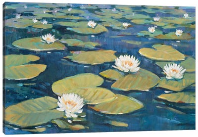 Morning Lilies I Canvas Art Print - Lily Art