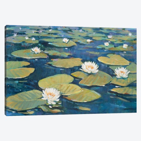 Morning Lilies I Canvas Print #TOT843} by Tim OToole Canvas Print