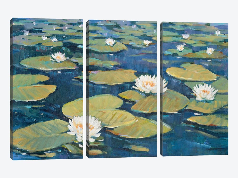 Morning Lilies I by Tim OToole 3-piece Art Print