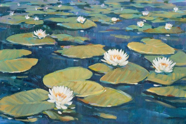 Water Lilies: Morning Lilies I by Tim O'Toole