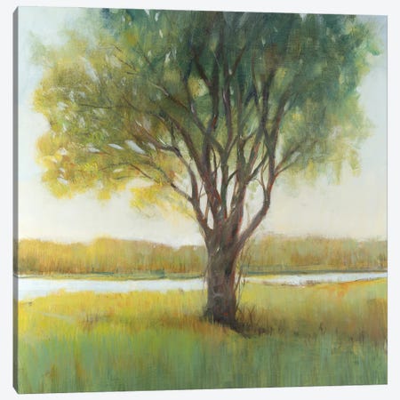 Shade Tree II Canvas Print #TOT845} by Tim OToole Canvas Art
