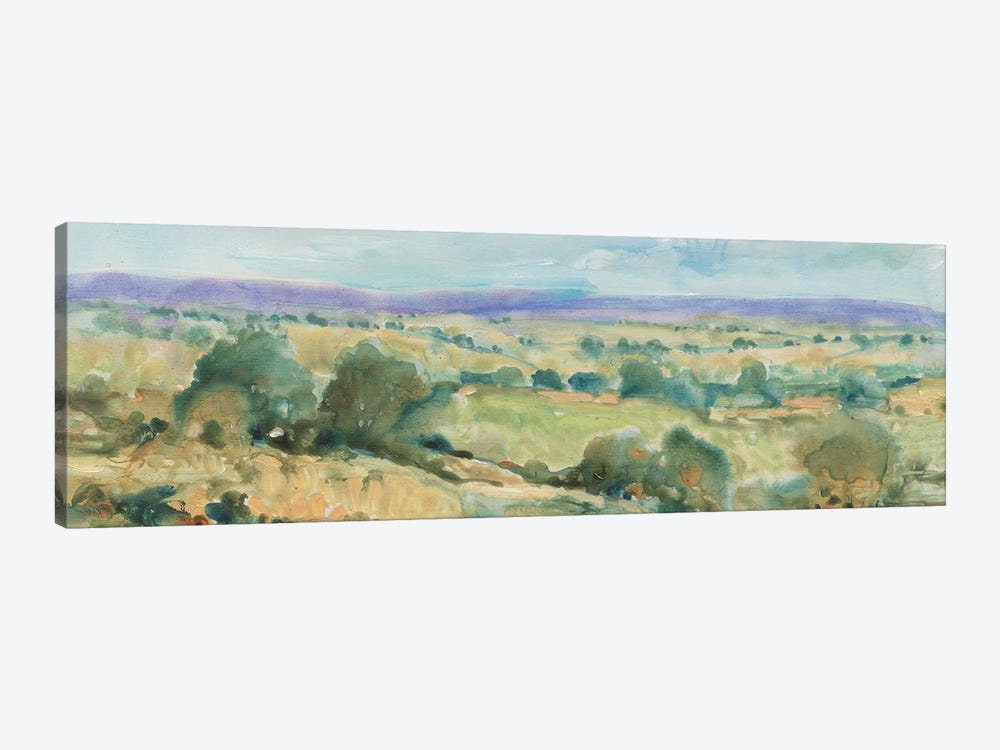 Soft Lavender Sky I by Tim OToole 1-piece Canvas Artwork
