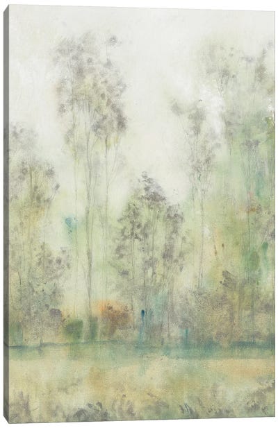 Before The Marsh II Canvas Art Print - Tim O'Toole