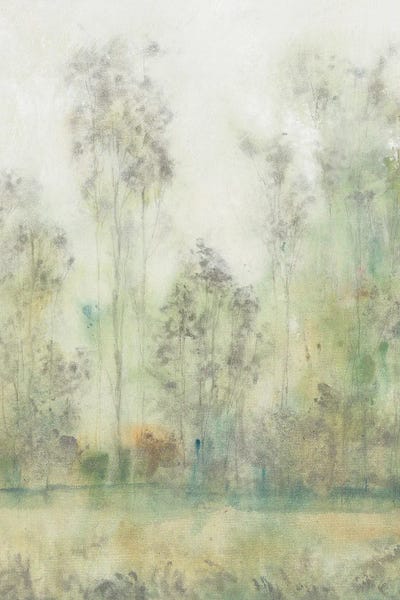 Marshes & Swamps: Before The Marsh II by Tim O'Toole