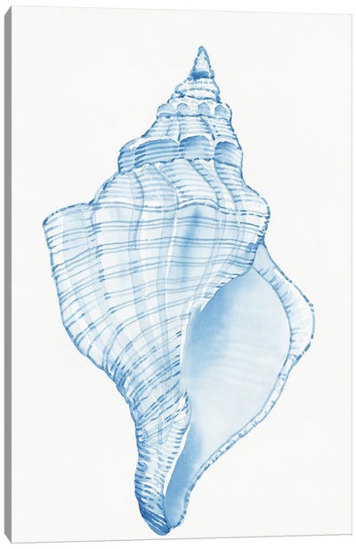 Blue Shell I Canvas Art Print - Tim O'Toole