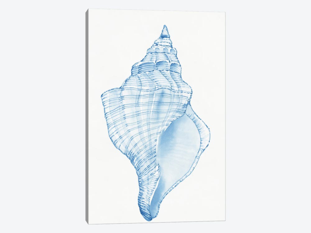 Blue Shell I by Tim OToole 1-piece Canvas Art