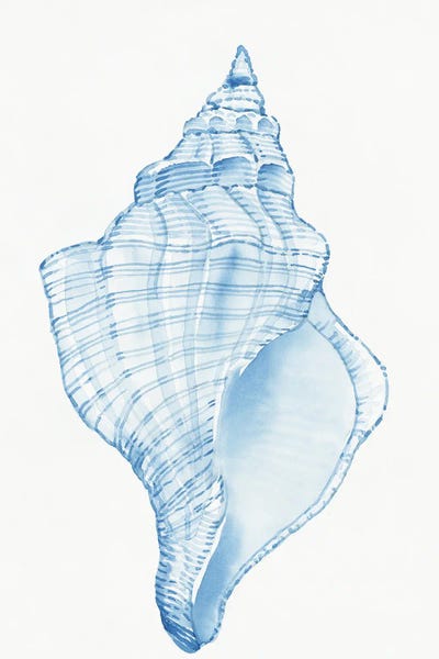 Sea Shells: Blue Shell I by Tim O'Toole