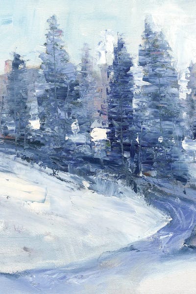 Pine Trees: Crisp Morning II by Tim O'Toole