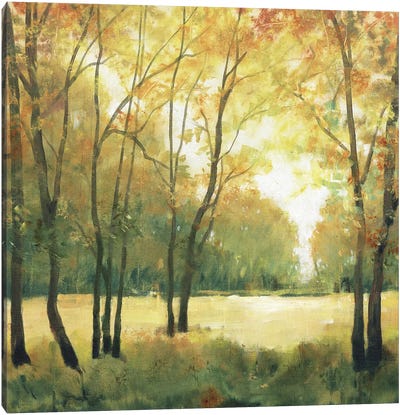 Fall Retreat II Canvas Art Print - Tim O'Toole