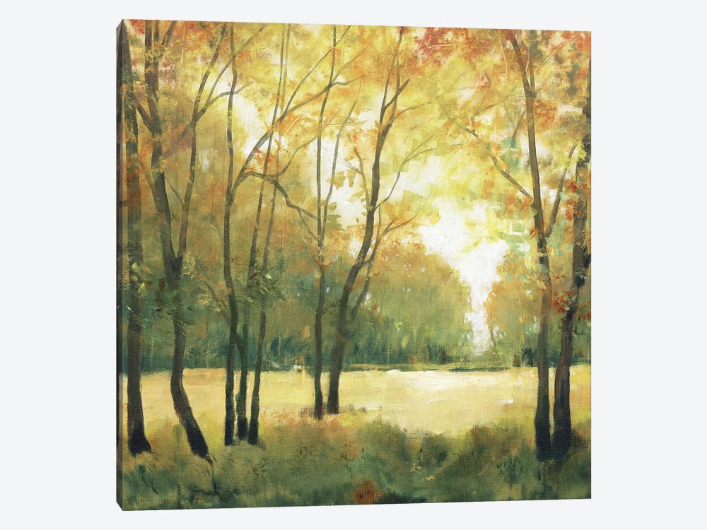 Fall Retreat II by Tim OToole 1-piece Canvas Art Print