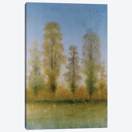 Gilded Trees II Canvas Print #TOT858} by Tim OToole Canvas Art
