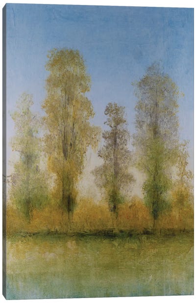 Gilded Trees II Canvas Art Print - Tim O'Toole