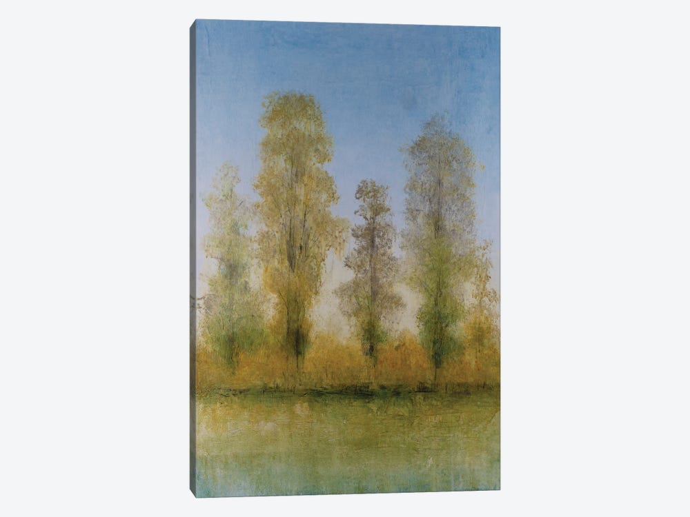Gilded Trees II by Tim OToole 1-piece Canvas Art Print