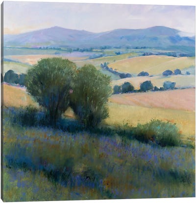 Lavender Hillside I Canvas Art Print - Lavender Art