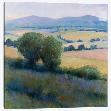Lavender Hillside I Canvas Print #TOT859} by Tim OToole Canvas Art