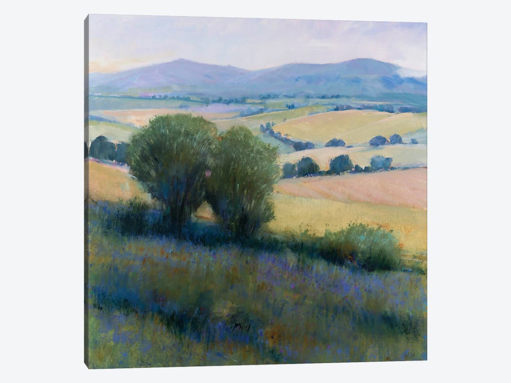 Lavender Hillside I by Tim OToole 1-piece Canvas Artwork