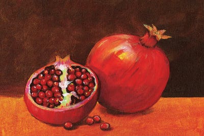 Pomegranate Still Life II by Tim O'Toole framed wall art