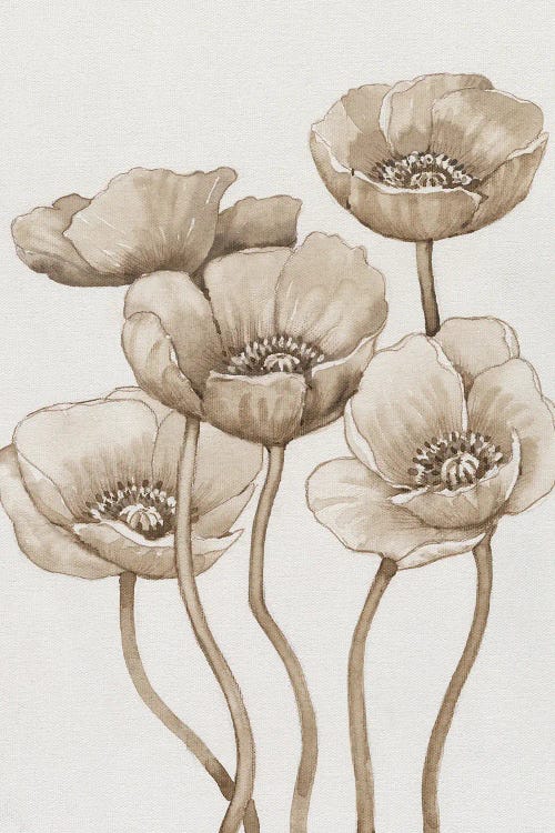 Poppies In Sepia I