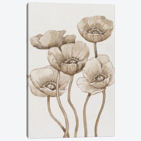 Poppies In Sepia I Canvas Print #TOT862} by Tim OToole Canvas Art Print