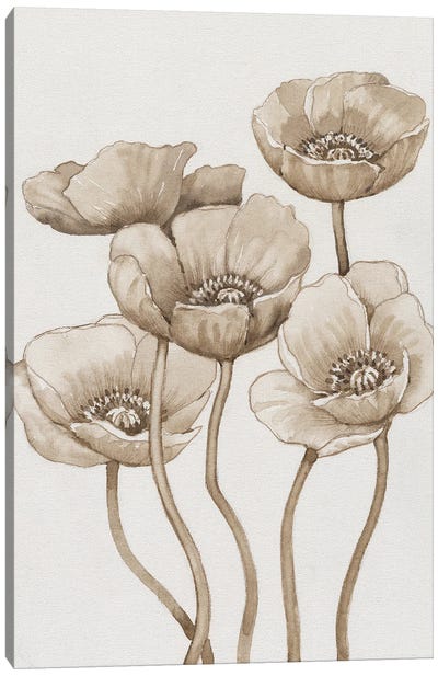 Poppies In Sepia I Canvas Art Print - Tim O'Toole