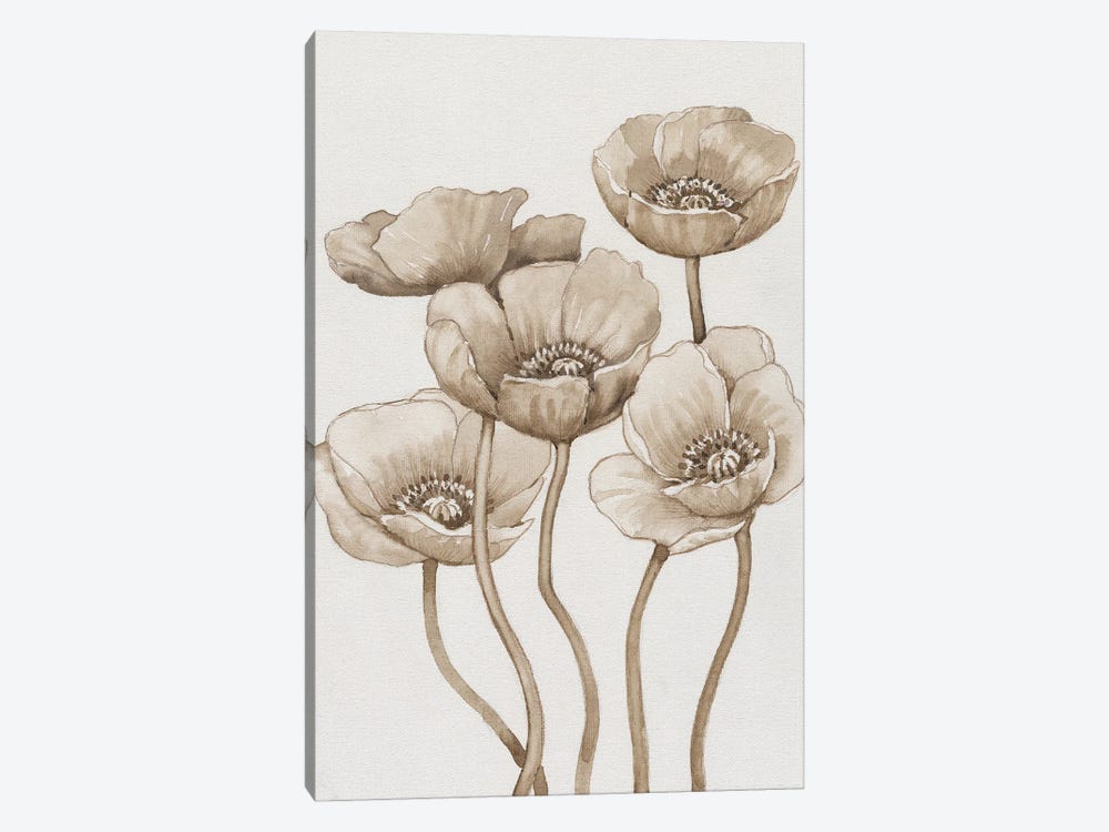 Poppies In Sepia I by Tim OToole 1-piece Canvas Artwork