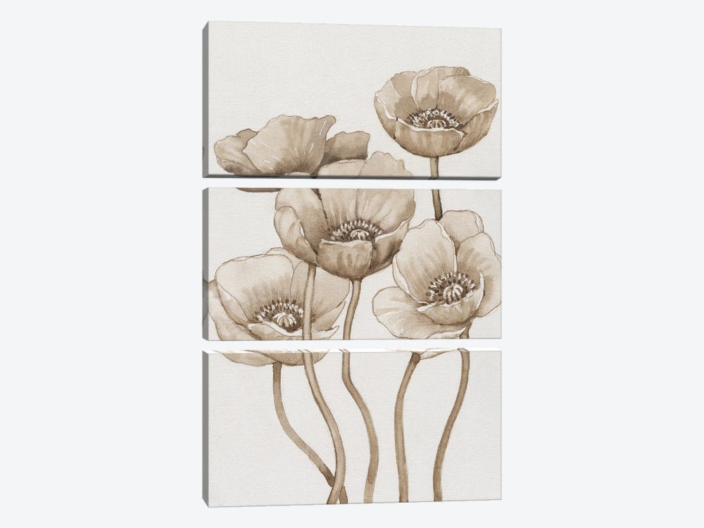Poppies In Sepia I by Tim OToole 3-piece Canvas Art