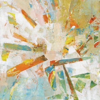 Shattered II by Tim O'Toole framed wall art