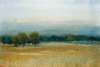 Tranquil Morning I by Tim O'Toole framed wall art