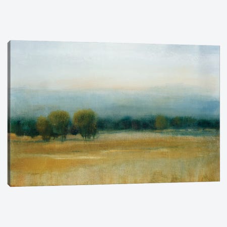 Tranquil Morning I Canvas Print #TOT867} by Tim OToole Canvas Art