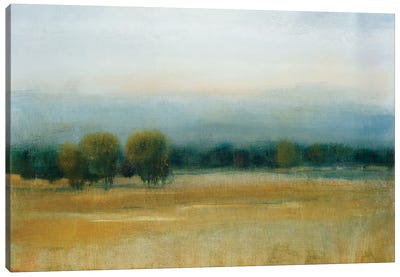 Tranquil Morning I Canvas Art Print - Tim O'Toole