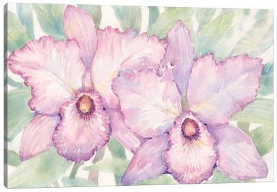 Tropical Orchid Watercolor I Canvas Art Print - Orchid Art
