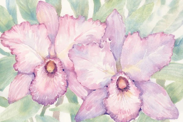 World Art Group: Tropical Orchid Watercolor I by Tim O'Toole