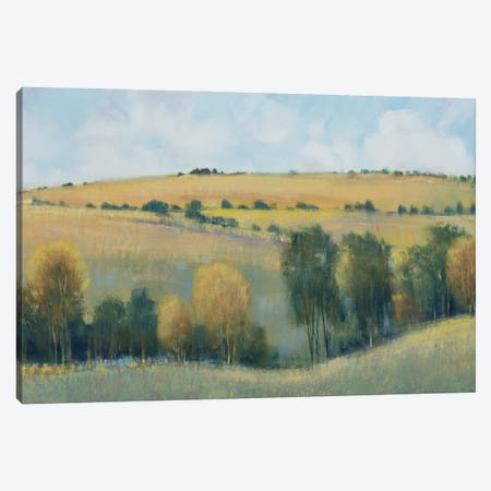 Valley Field I Canvas Print #TOT869} by Tim OToole Art Print