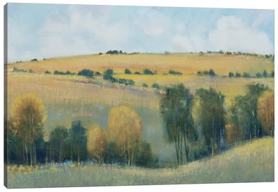 Valley Field I Canvas Art Print - Valley Art