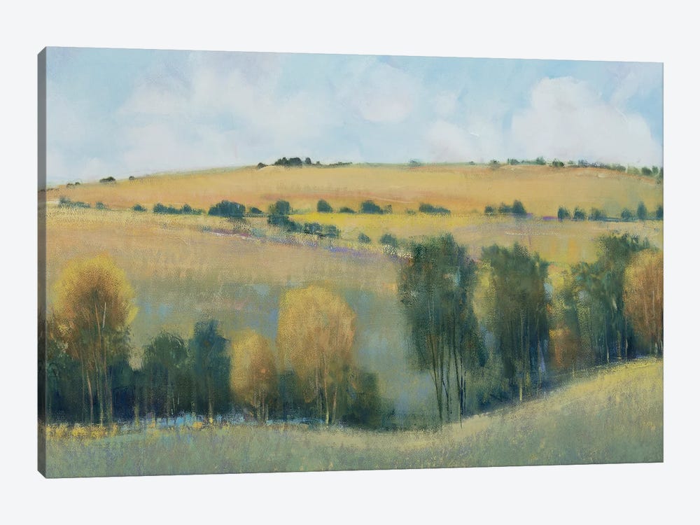 Valley Field I by Tim OToole 1-piece Art Print