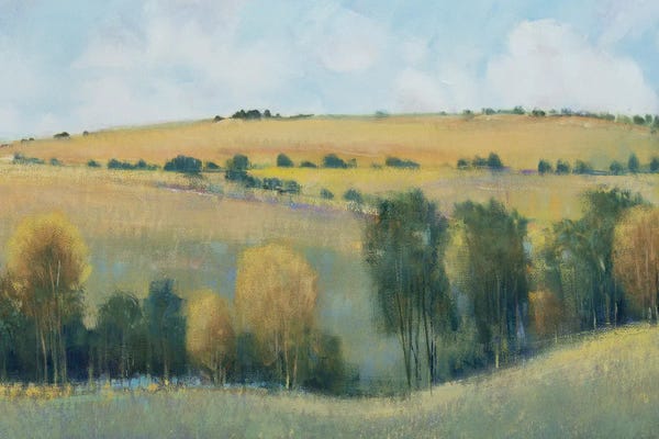 World Art Group: Valley Field I by Tim O'Toole