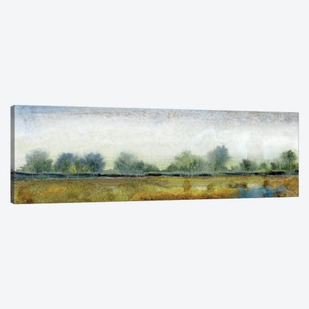 Ethereal Landscape I Canvas Print #TOT92} by Tim OToole Canvas Artwork
