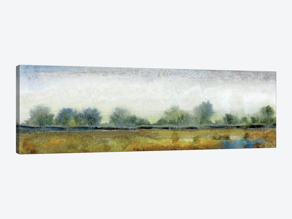 Ethereal Landscape I by Tim OToole 1-piece Canvas Artwork