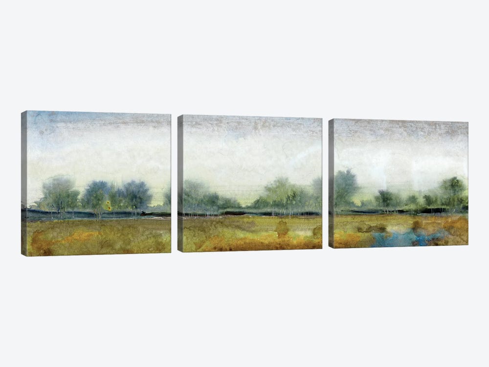 Ethereal Landscape I by Tim OToole 3-piece Canvas Wall Art
