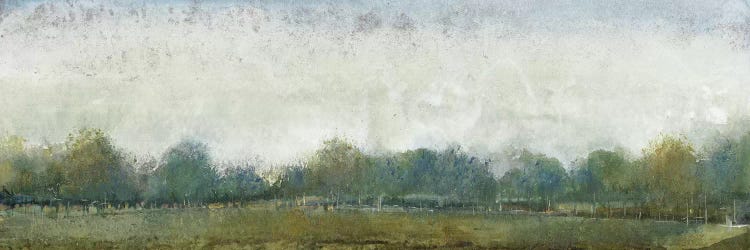 Ethereal Landscape II by Tim OToole wall art